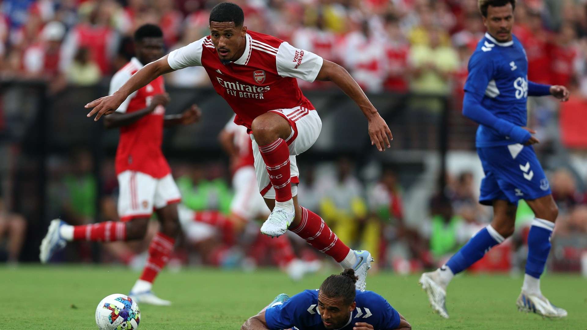 文章将对所 文章将对所